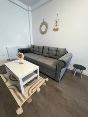 Sunny Apartments Suceava 64